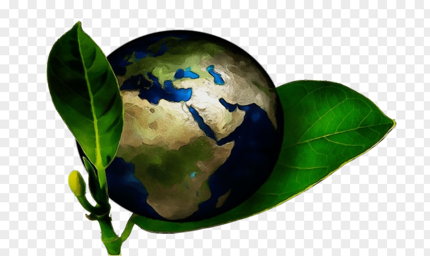 Interior Design Tree Leaf Earth Planet World Sphere PNG