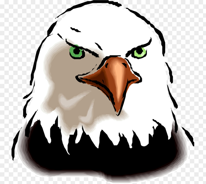 RIP Supai Student Bald Eagle Clip Art PNG