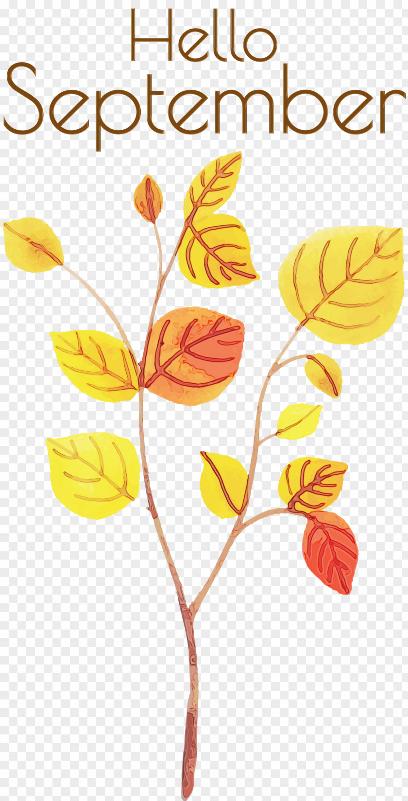 Vector Watercolor Painting Royalty-free PNG