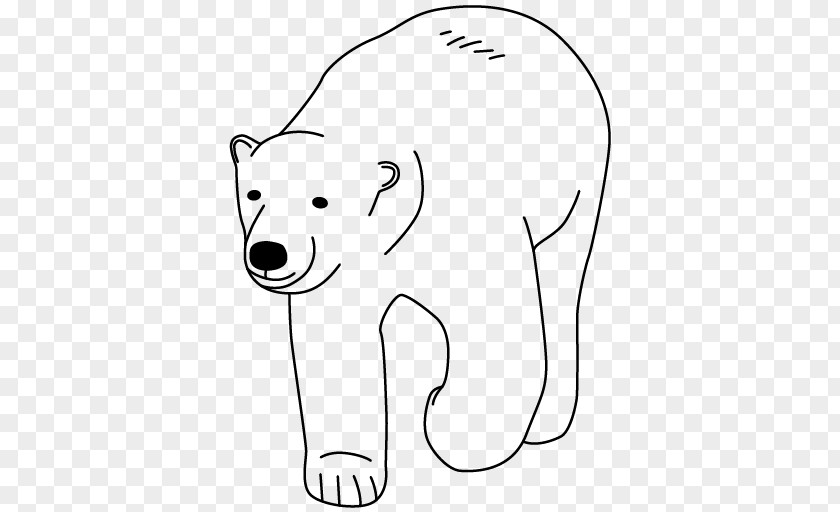 Bear Polar Drawing Clip Art PNG