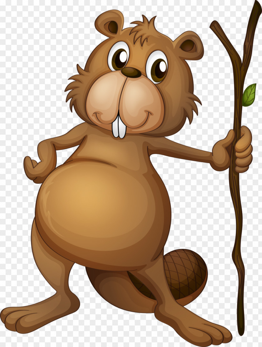 Beaver Stock Photography PNG