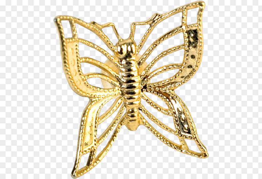 Brooch Gold Yahoo! GeoCities Insect Body Jewellery PNG