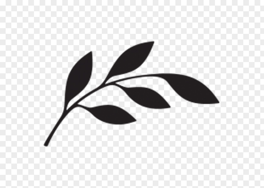 Leaf White Black M PNG