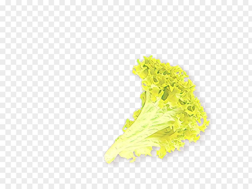 Plant Leaf Vegetable Yellow PNG