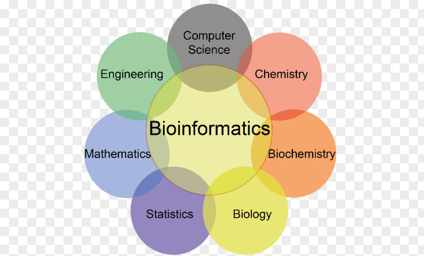 Teaching Method Bioinformatics Computer Science Computational Biology PNG
