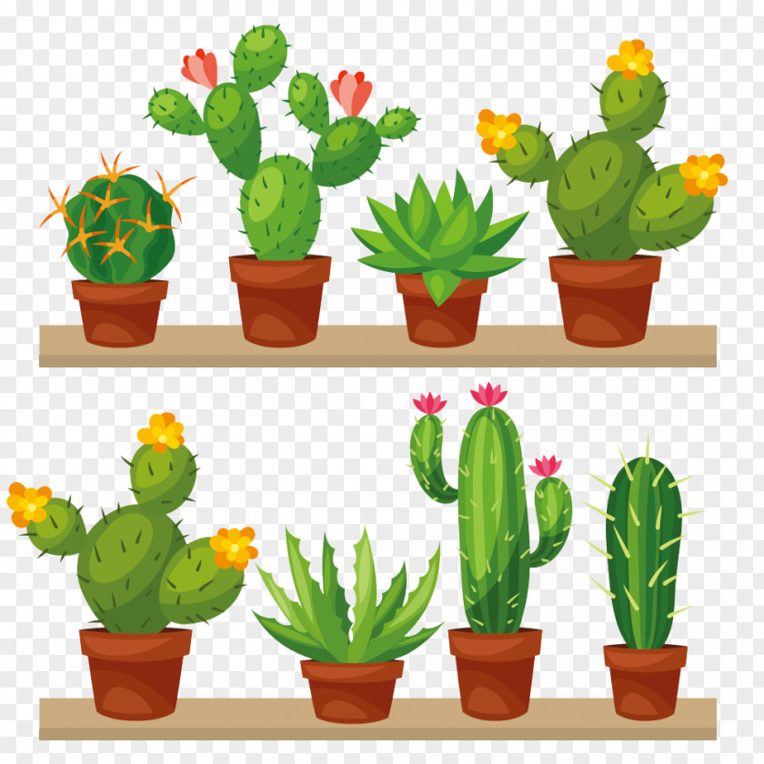 Vector Cactus Cactaceae Cross-stitch Stock Illustration PNG