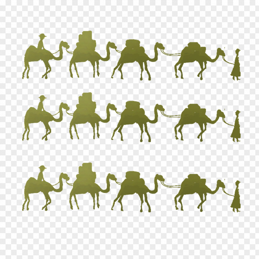 Camel Lot One Belt Road Initiative Horse Maritime Silk PNG