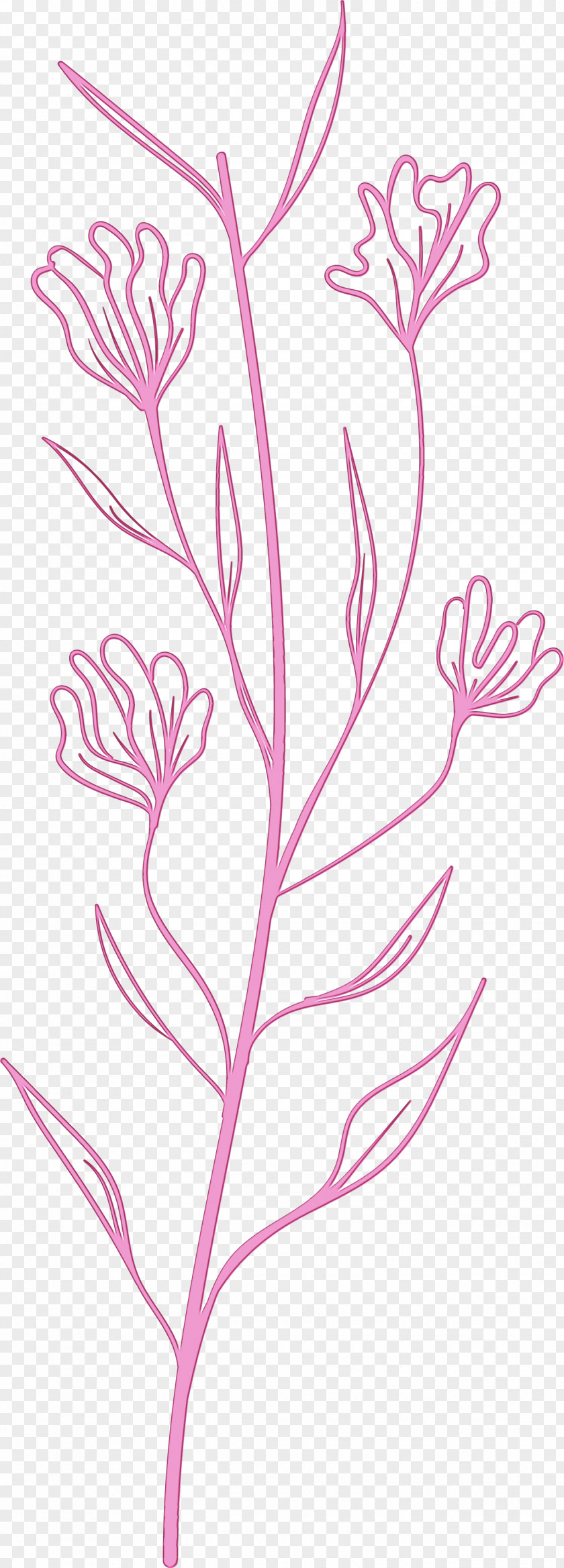 Floral Design PNG