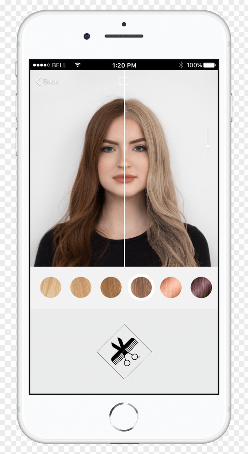Hair L'Oréal Professionnel Human Color Hairstyle Coloring PNG