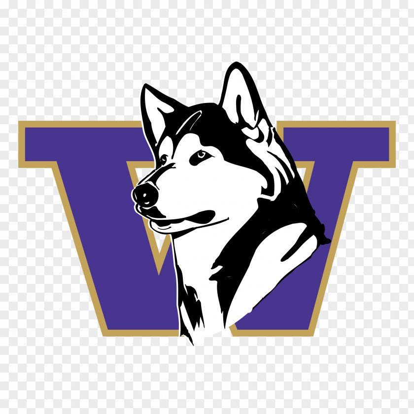 Husky Washington Huskies Football Softball Men's Basketball University Of Baseball PNG