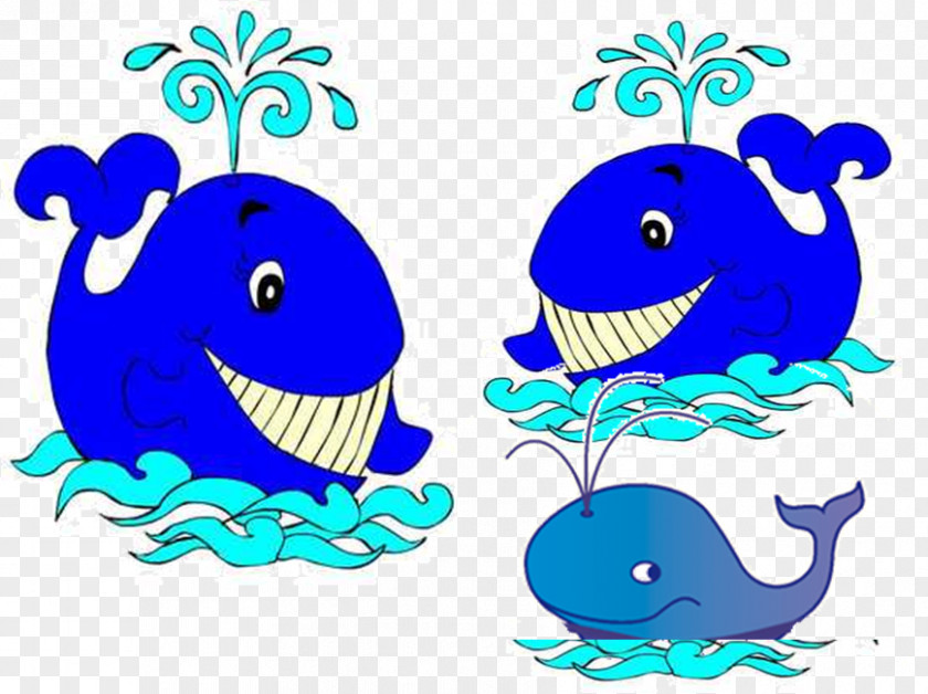 Lesson Pedagogy Holiday Learning Whales PNG