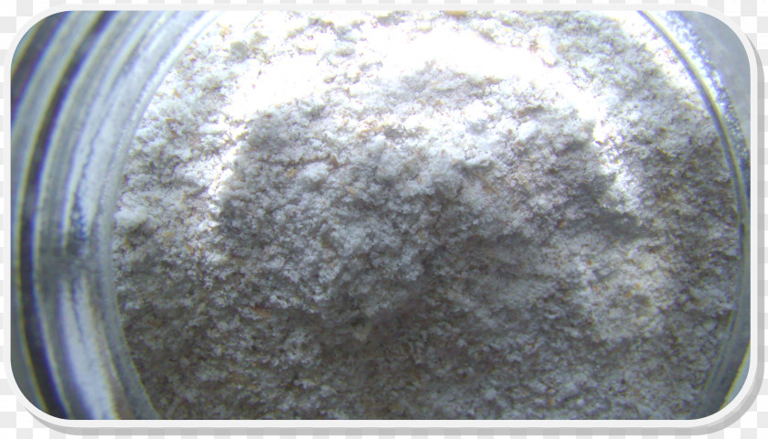 Mugwort Material PNG