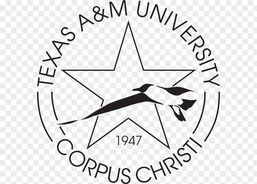 Student Texas A&M University Of At Austin Arlington PNG