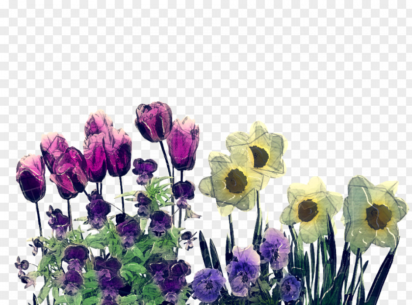 Tulip Petal Lavender PNG
