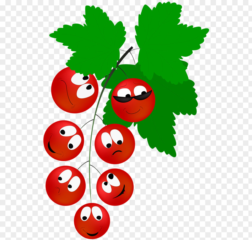 Vegetable Redcurrant Berry Drawing PNG