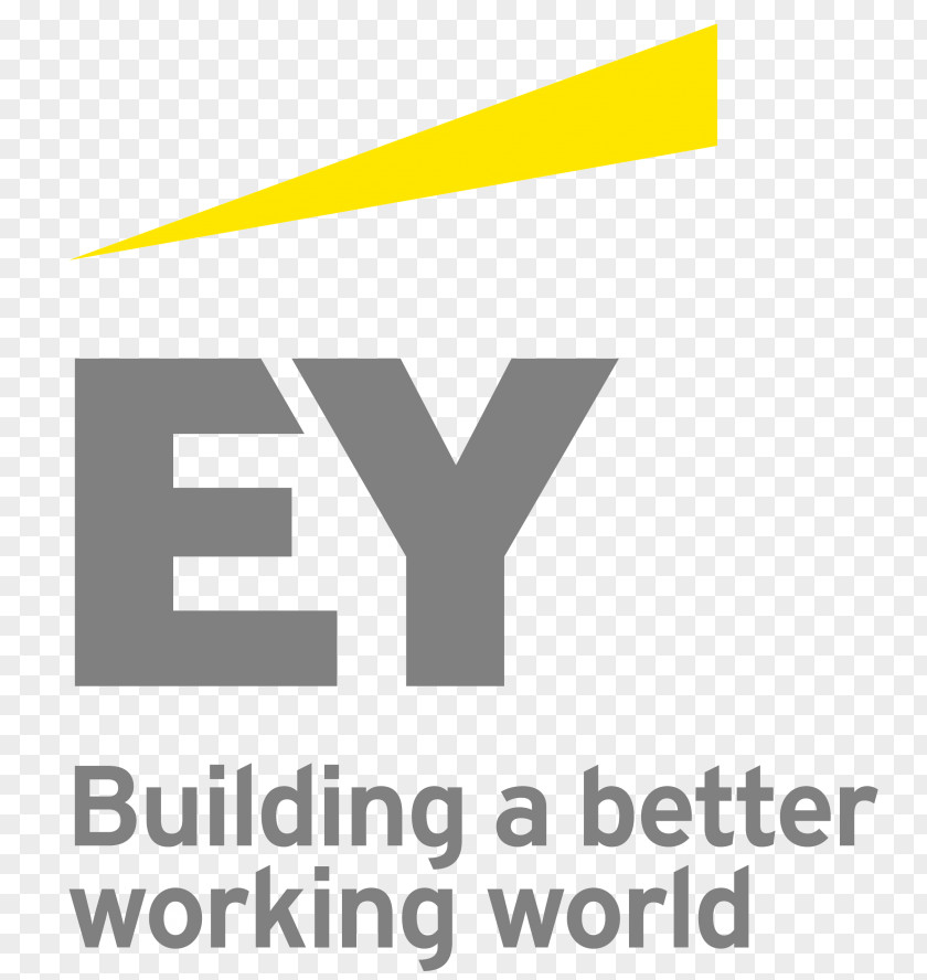 Business Ernst & Young Baltic Assurance Services Big Four Accounting Firms PNG