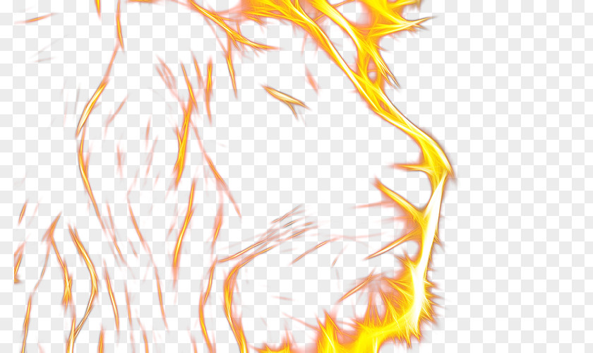 Flame Lion Head PNG