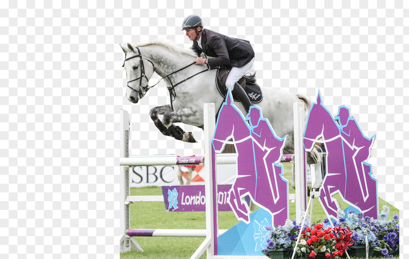 Horse Supplies Show Jumping Stallion Hunt Seat Eventing PNG