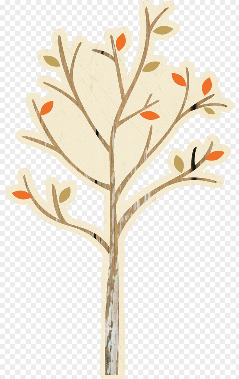 Orange Tree Leaf Branch Twig Plant Stem PNG