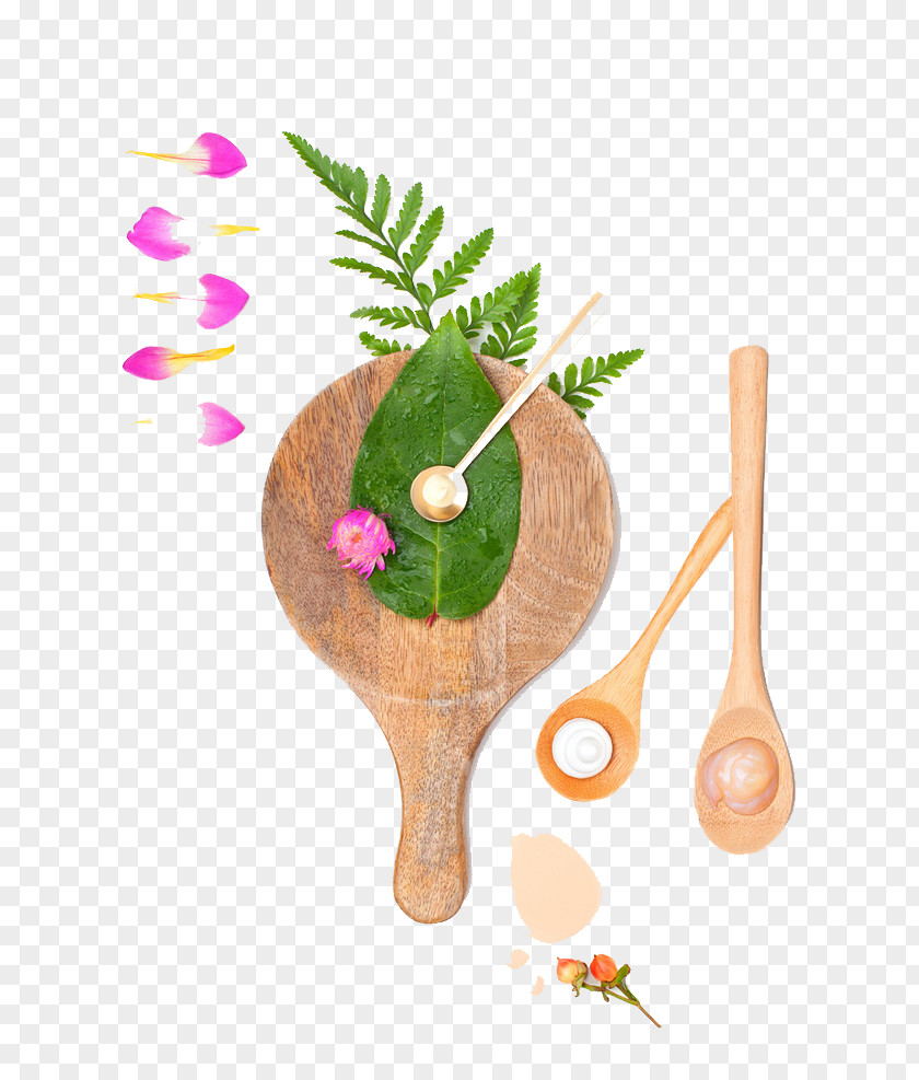 Wooden Plate And Leaves Spoon Shovel PNG