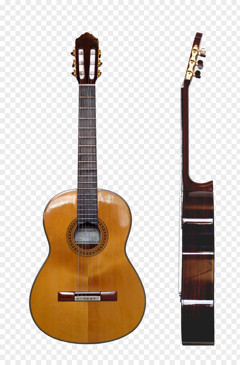 Acoustic Guitar Classical Musical Instruments Steel-string PNG