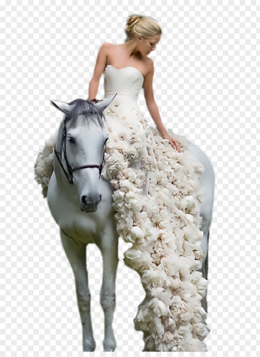 Horse Wedding Dress Woman PNG