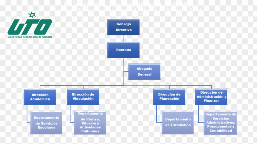 Technology Organizational Chart Institution Education PNG