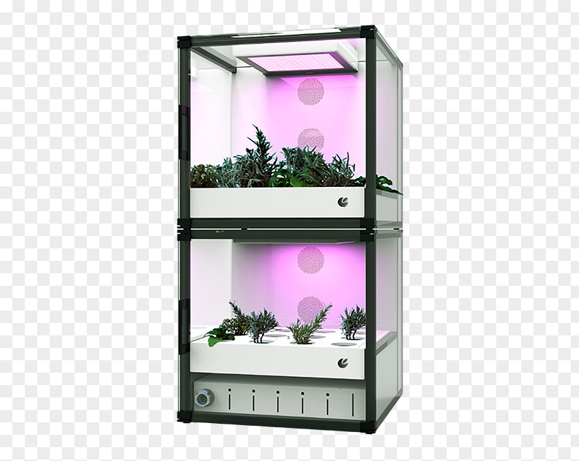 Tray Hydroponics Aquaponics Greenhouse Agriculture Vertical Farming PNG