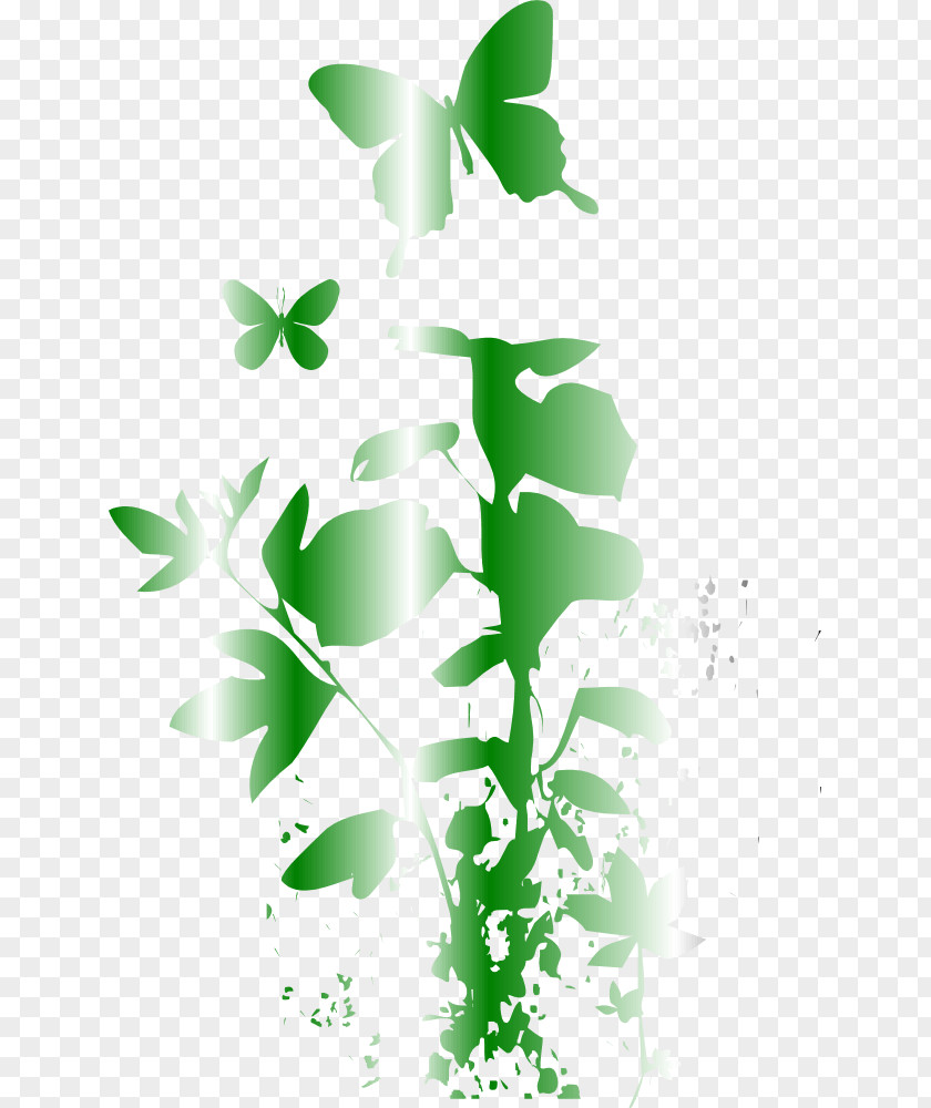 Doodles Book Of Shadows: Butterfly Leaf Plant Stem Tree PNG