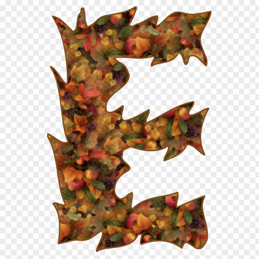 Leaf Maple PNG