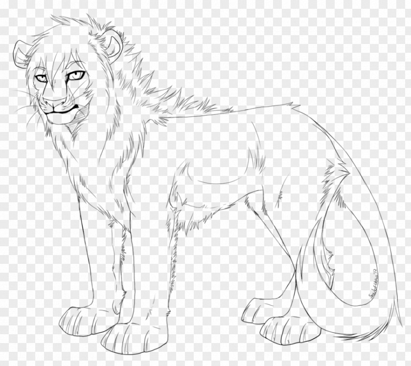 Lion Whiskers Line Art Cat Drawing PNG