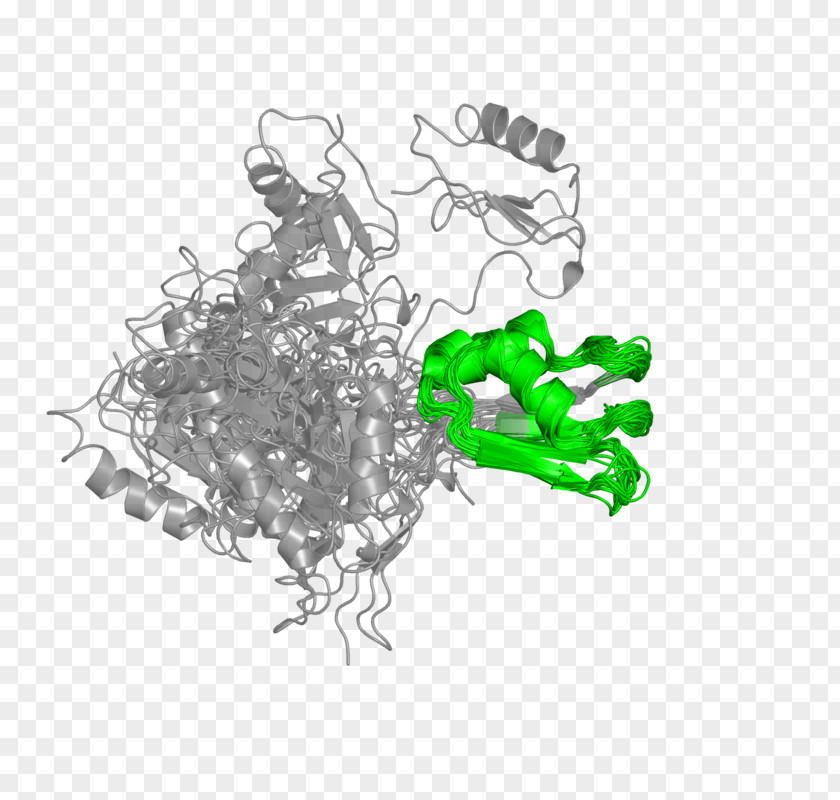 Rna Splicing Illustration Product Design Graphics Tree PNG