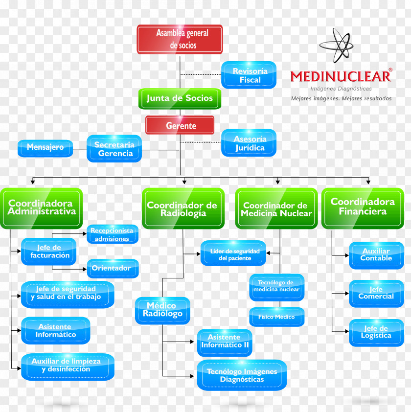 Business Organizational Chart Nuclear Medicine Empresa Radiology Service PNG