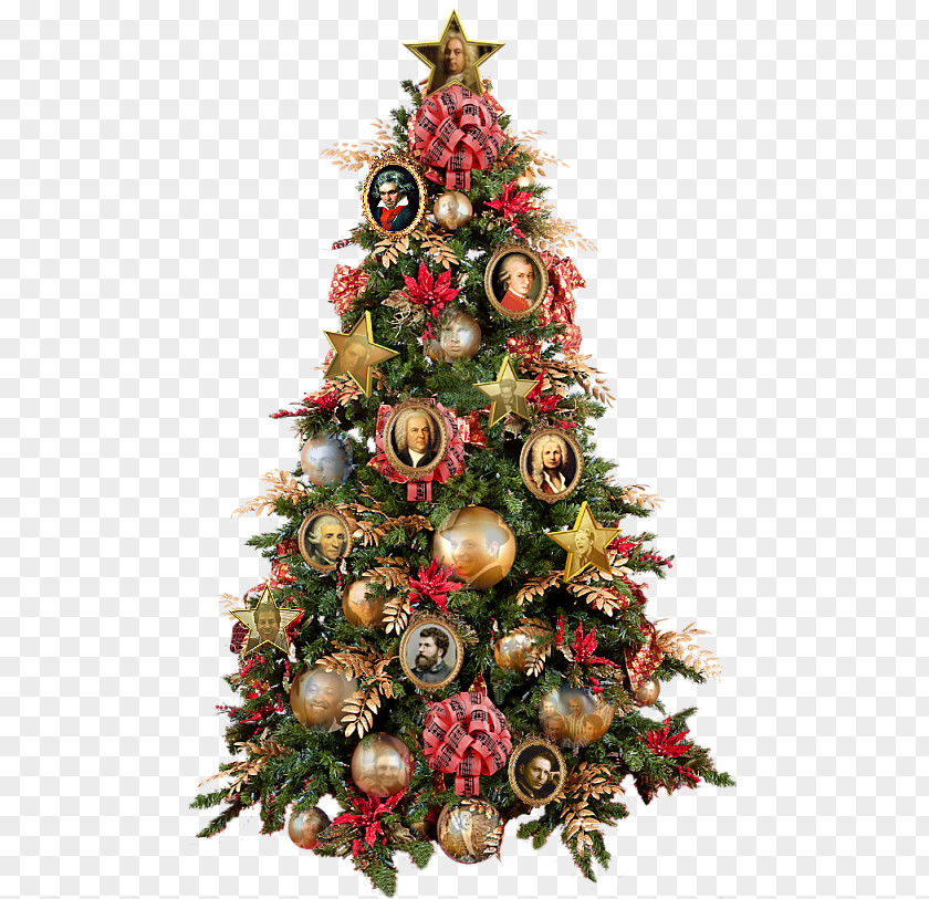 Christmas Tree Ornament Day Spruce PNG