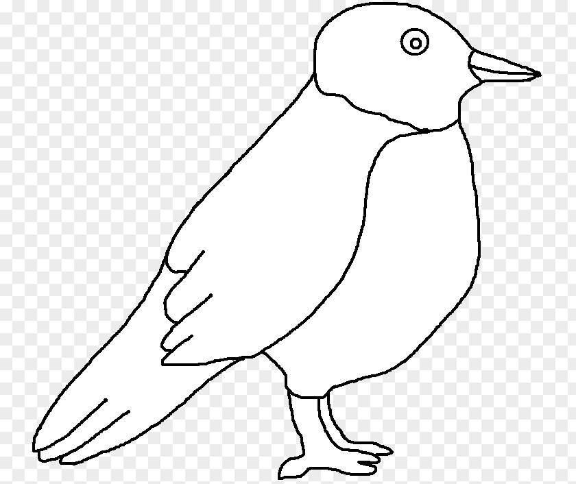 Duck Bird White Animal Clip Art PNG