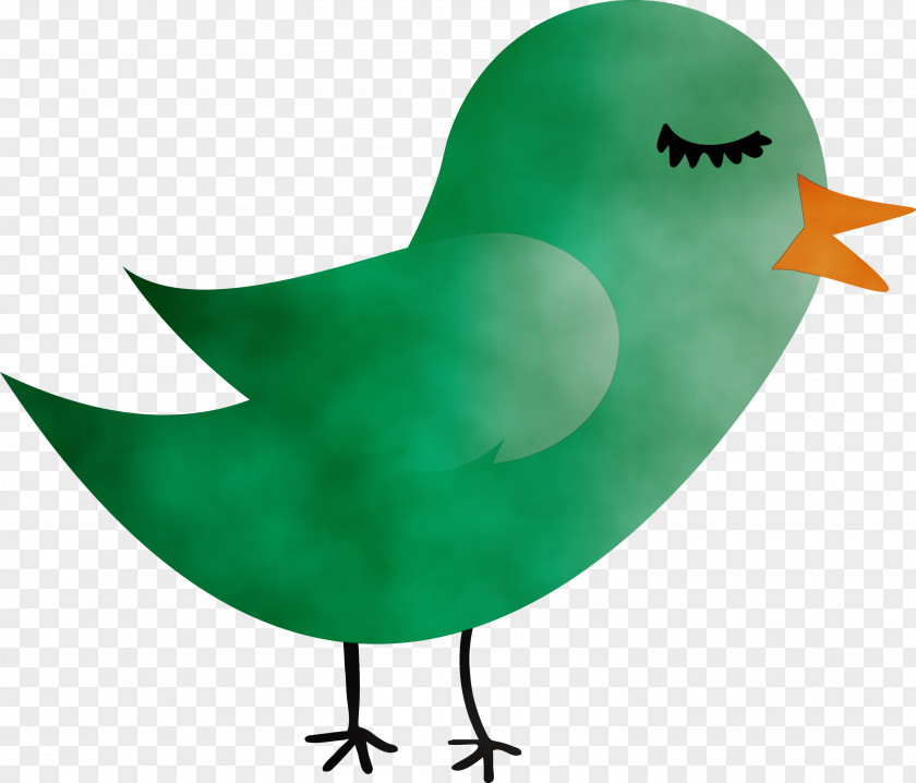 Green Bird Beak PNG