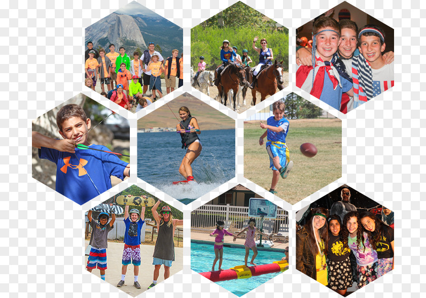 Overnight Summer Camp California NLCafé Education Leisure Vacation PNG