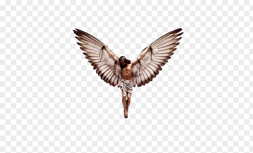 Simple Jesus Wings Illustrator Art Fouts Nancy PNG