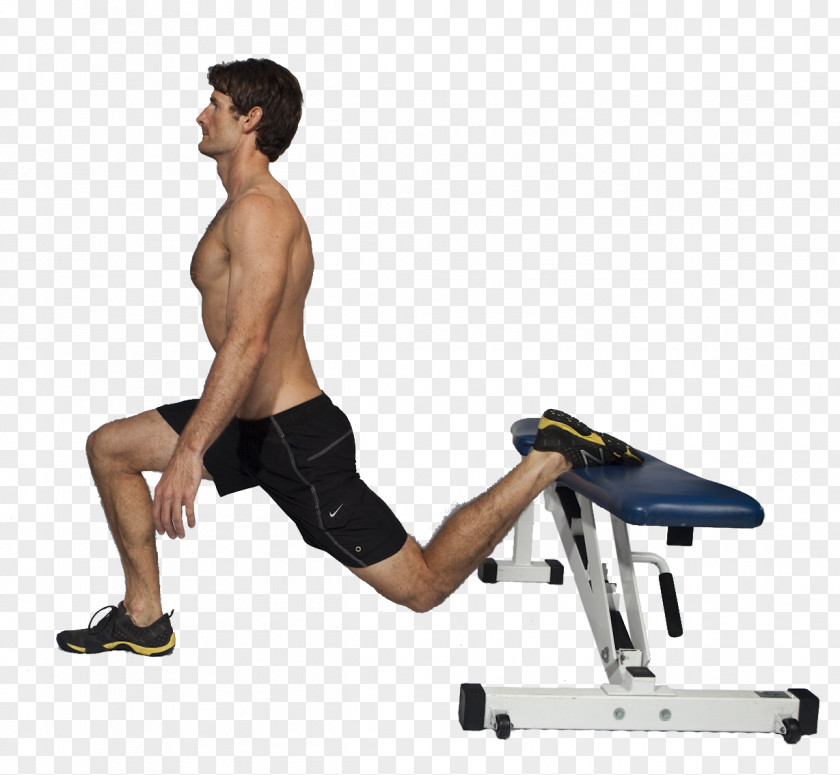 Dumbbell Bench Lunge Physical Fitness Exercise Weight Training PNG