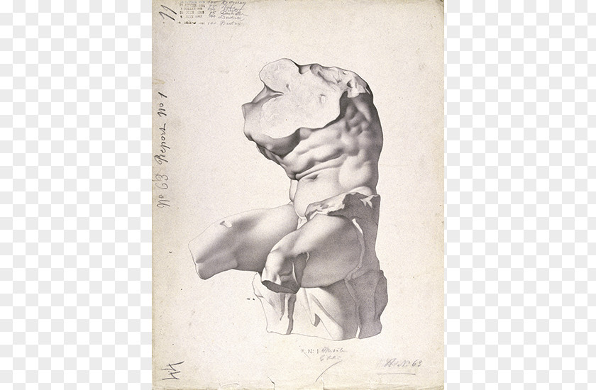 Painting Charles Bargue Drawing Course Belvedere Torso Lithography PNG