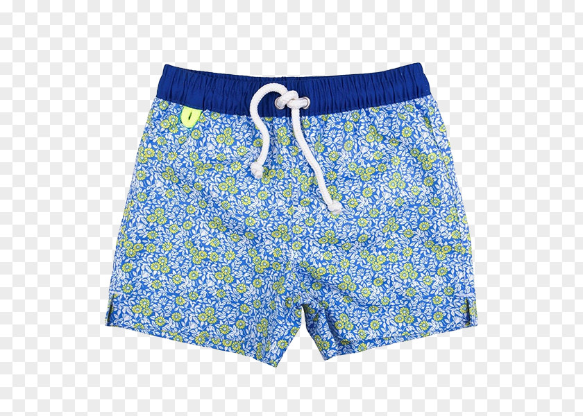 Boy Underpants Blue Trunks Swimsuit Boardshorts PNG