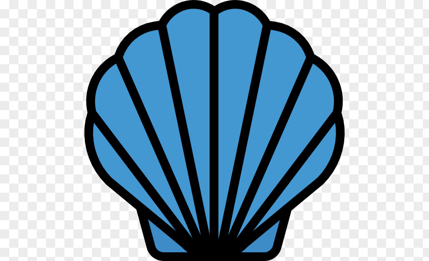 Seashell PNG