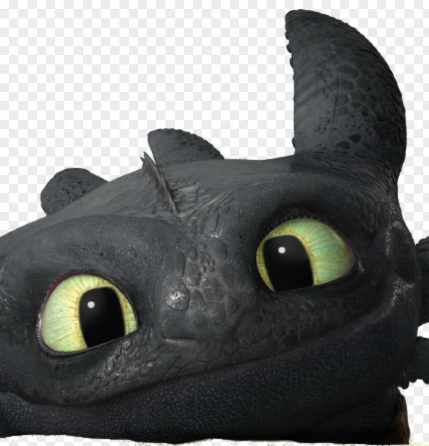 Toothless Stoick The Vast How To Train Your Dragon Wallpaper PNG