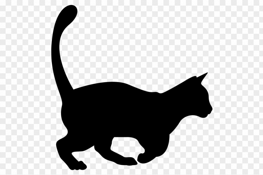 Animal Silhouettes Cat Vector Graphics Exotic Shorthair Illustration Ragdoll Clip Art PNG