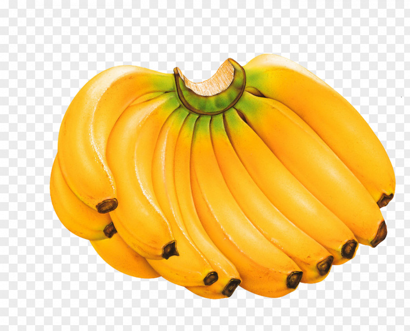 Banana Fruit Salad Food Eating Peel PNG