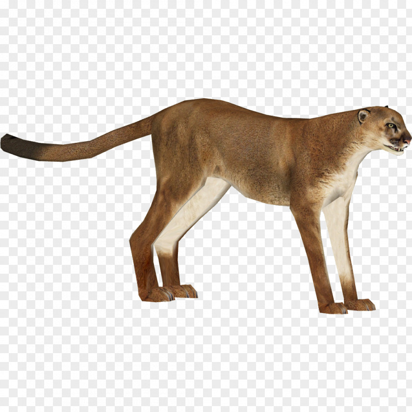 Cheetah Zoo Tycoon 2 Felidae Cougar Lion PNG