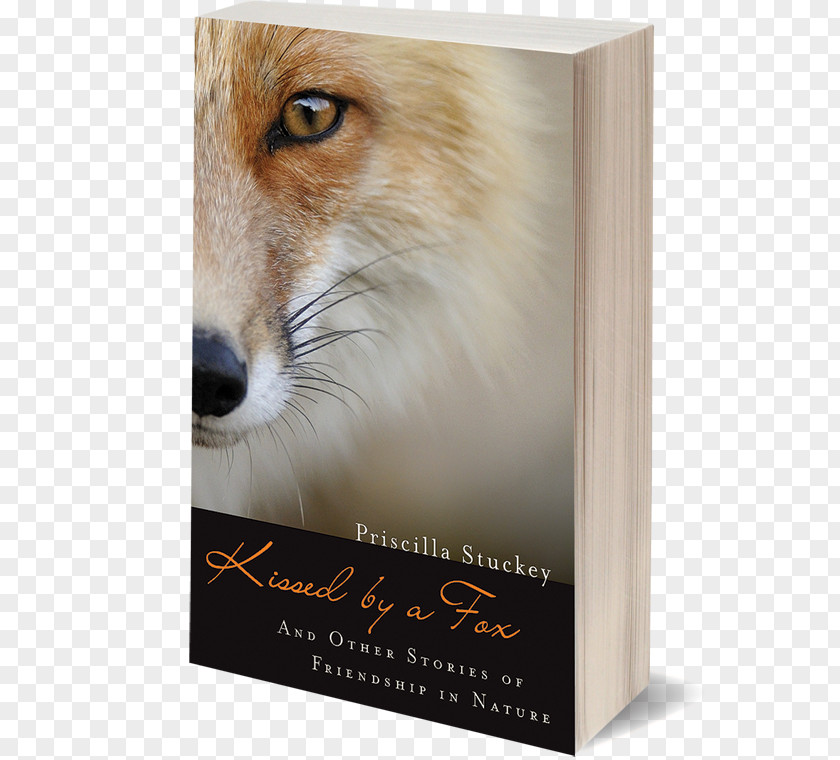 Cover Book Kissed By A Fox: And Other Stories Of Friendship In Nature Snout PNG