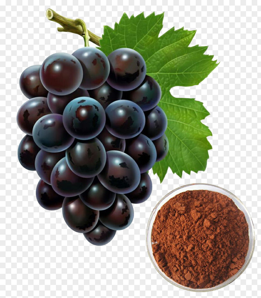 Grape Seed Extract Oil PNG