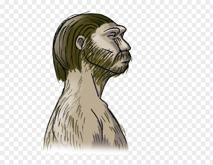 Human Neanderthal Vertebrate Primate Prehistory PNG