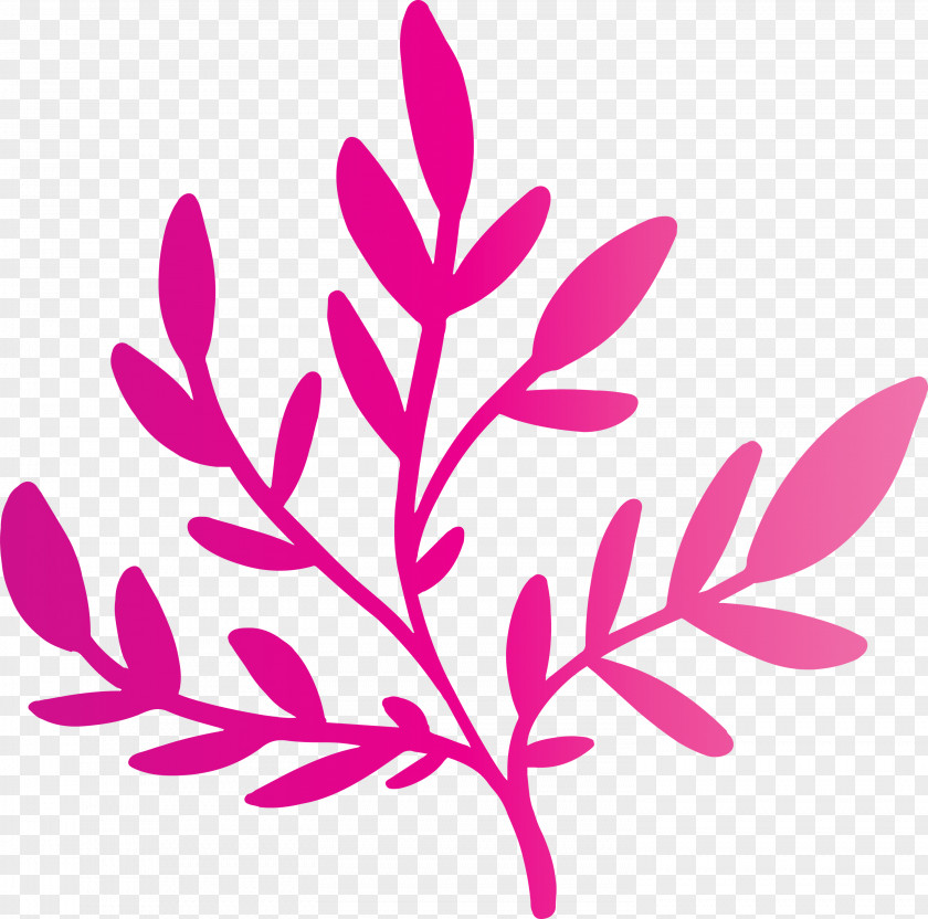 Plant Stem Twig Leaf Petal Pink M PNG